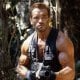 Predator: il regista di Killer of Killers spiega come Arnold Schwarzenegger potrebbe tornare nella saga