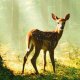Bambi, arriva al cinema la pellicola consigliata da WWF e non è un live-action
