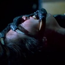 La casa di Mary: una scena del film