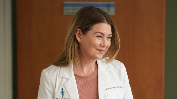 Grey's Anatomy, Ellen Pompeo: 'Non sarei rimasta così a lungo se avessi voluto farmi amare dai critici'