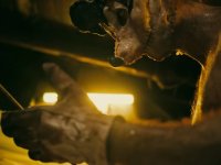 I Heart Willie: un gruppo di YouTuber viene ucciso dal killer ispirato a Topolino nel trailer