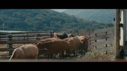 Cose che accadono sulla terra - Trailer del documentario di Michele Cinque
