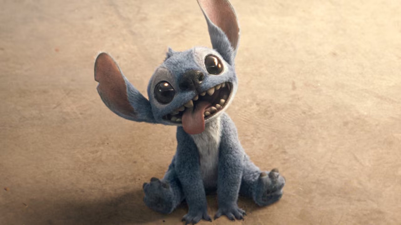 Una foto di Stitch