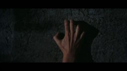 Quattro mosche di velluto grigio - Trailer del thriller di Dario Argento