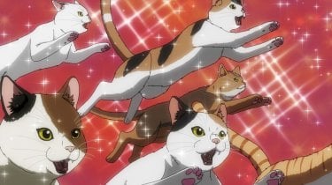 Nyaight Of The Living Cat Gatti All Attacco