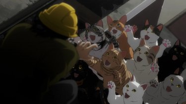 Nyaight Of The Living Cat Irresistibili