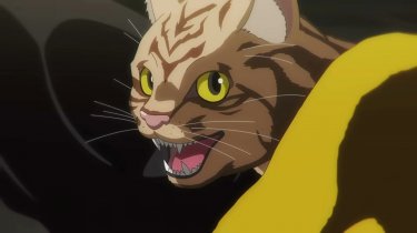 Nyaight Of The Living Cat Una Scena