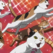 Un'invasione di gatti in Nyaight of the Living Cat