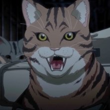 Nyaight of the Living Cat