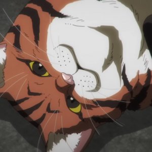 Un momento di Nyaight of the Living Cat