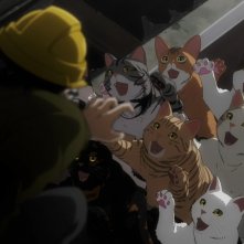 Nyaight of the Living Cat