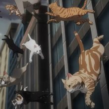 Nyaight of the Living Cat: una scena