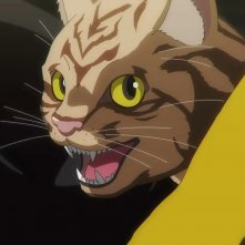 Nyaight of the Living Cat