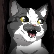 Nyaight of the Living Cat