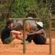 Money Road, il finale del reality di Fabio Caressa e il colpo basso inaspettato: ecco chi è rimasto a secco