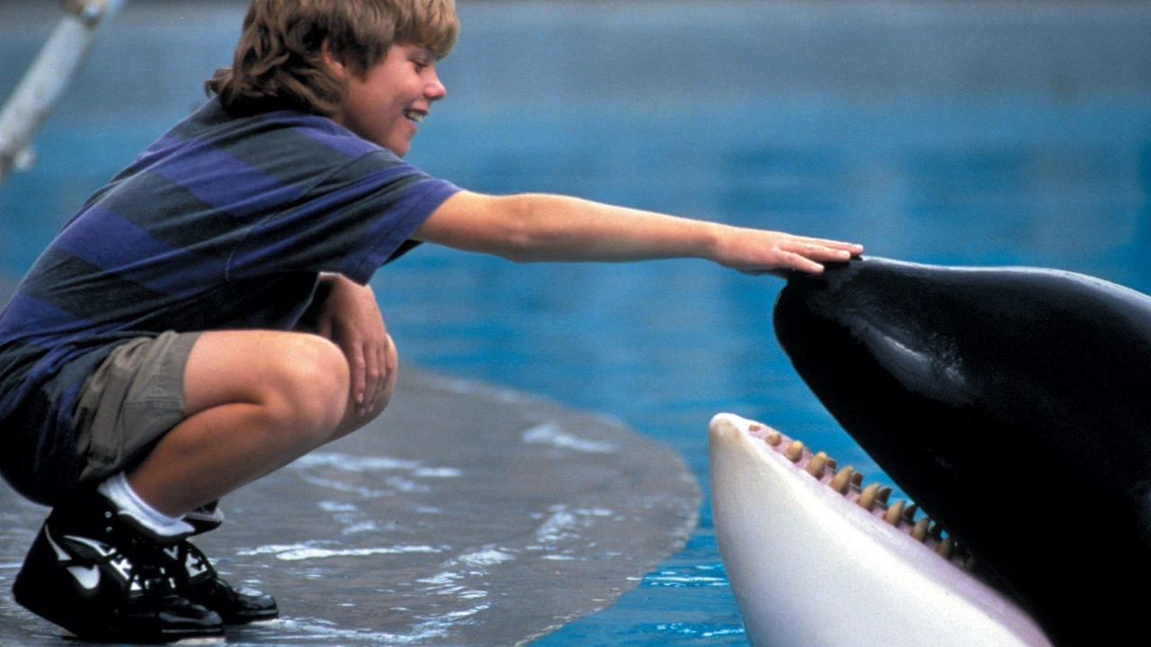 Una scena di Free Willy - Un amico da salvare