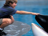 Free Willy: la giovane star del film ricorda Michael Madsen: 'Era un'anima davvero speciale'