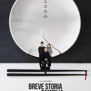 Locandina di Breve storia di una famiglia