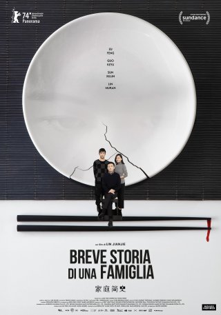 Locandina di Breve storia di una famiglia