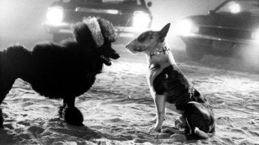 Frankenweenie