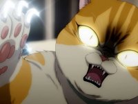 Eleceed, in arrivo l'adattamento anime del webtoon con il gatto sovrappeso che ha sfidato Solo Leveling