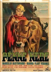 Locandina di Penne nere