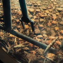 Survive: una scena del film