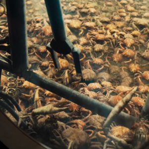 Survive: una scena del film