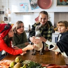 Paul - Un pinguino da salvare: una foto del film