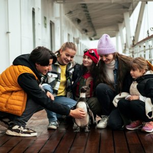 Paul - Un pinguino da salvare: un frame del film