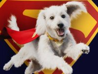 Superman, la creatrice di Beastars omaggia il film di James Gunn con un 'suo' Krypto