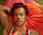 Harry Styles lancia una linea personalizzata di sex toys: 'Ci sono articoli che userei anch'io'