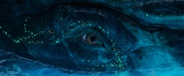 Avatar Fuoco E Cenere Tulkun