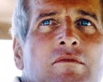 Paul Newman protagonista del manifesto e della retrospettiva di Torino 2025
