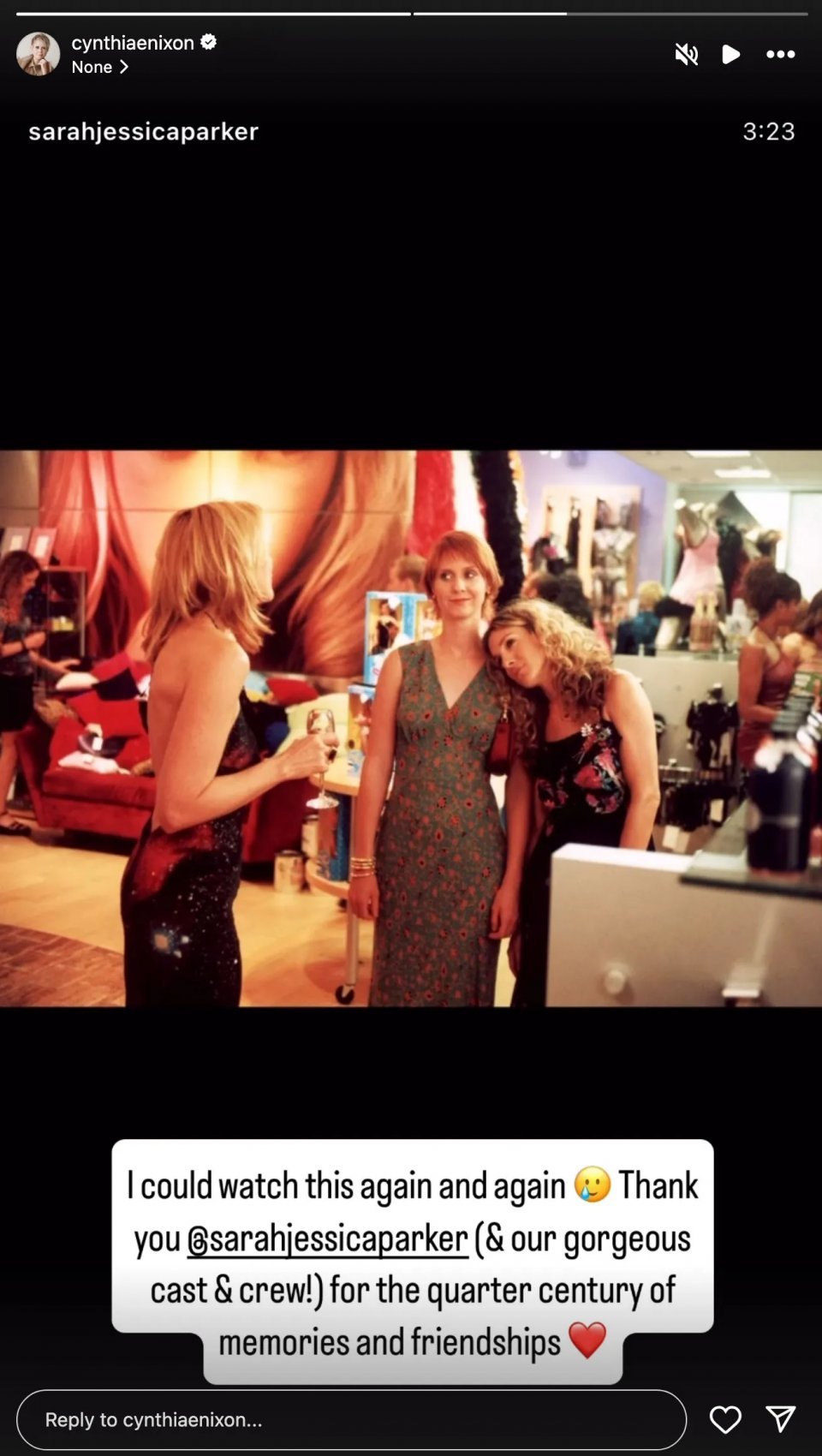Cynthia Nixon And Just Like That