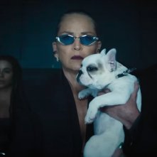 Io sono Nessuno 2: Sharon Stone in una foto