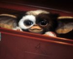 Chris Columbus dirige Gremlins 3: confermato il ritorno dei pupazzi originali nel nuovo sequel
