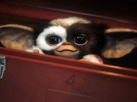 Chris Columbus dirige Gremlins 3: confermato il ritorno dei pupazzi originali nel nuovo sequel