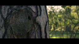 Shelby Oaks - Trailer dell'horror prodotto da Mike Flanagan