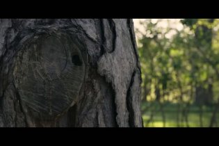 Shelby Oaks - Trailer dell'horror prodotto da Mike Flanagan