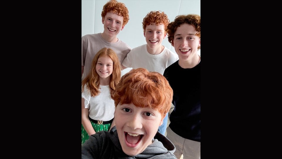 Harry Potter The Weasleys
