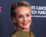 Sharon Stone sul reboot di Basic Instinct: 'Non capisco perché vogliano farlo, auguri'