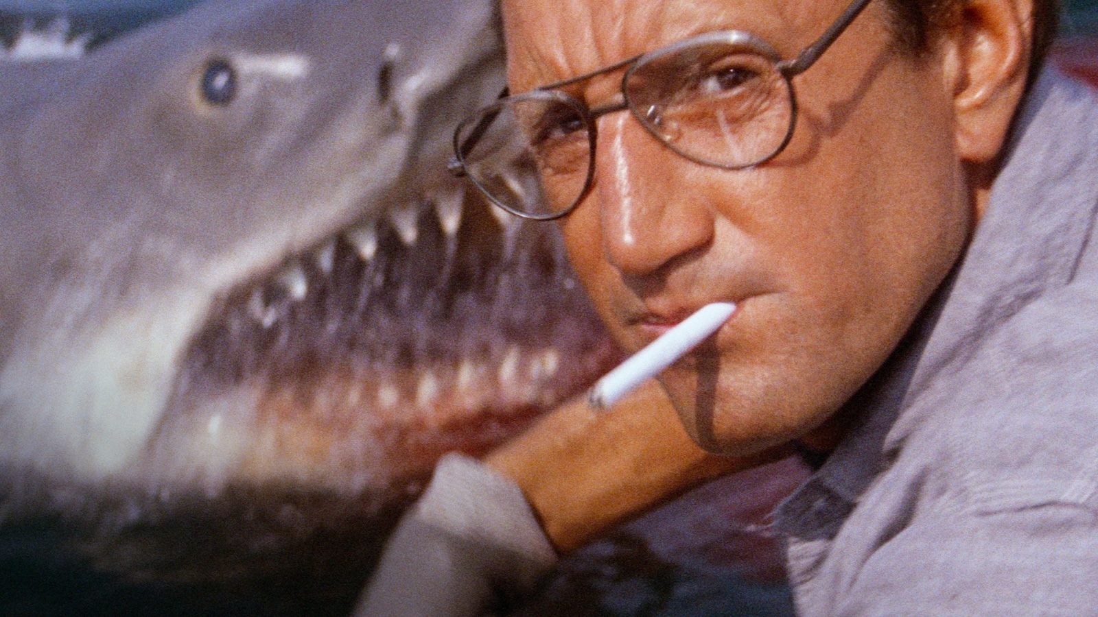 Lo Squalo: una scena con Roy Scheider