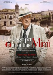 Locandina di Un viaggio per incontrare Mimì