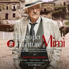 Locandina di Un viaggio per incontrare Mimì