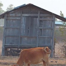 Locandina di Back Home