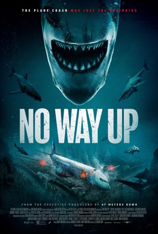 Locandina di No Way Up