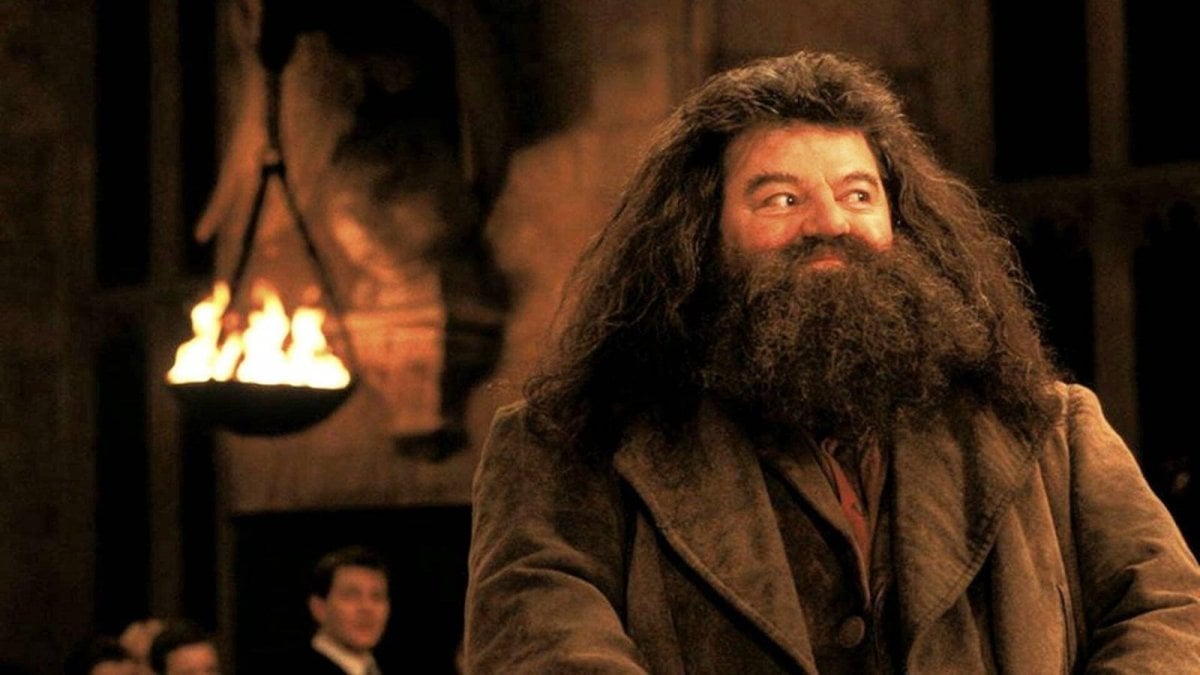 Harry Potter: Chris Columbus critica il nuovo Hagrid del reboot HBO, "È identico all’originale, che senso ha?" Harry Potter: Chris Columbus critica il nuovo Hagrid del reboot HBO, "È identico all’originale, che senso ha?"