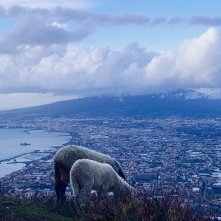 Sotto le nuvole: Gianfranco Rosi riprende il Vesuvio