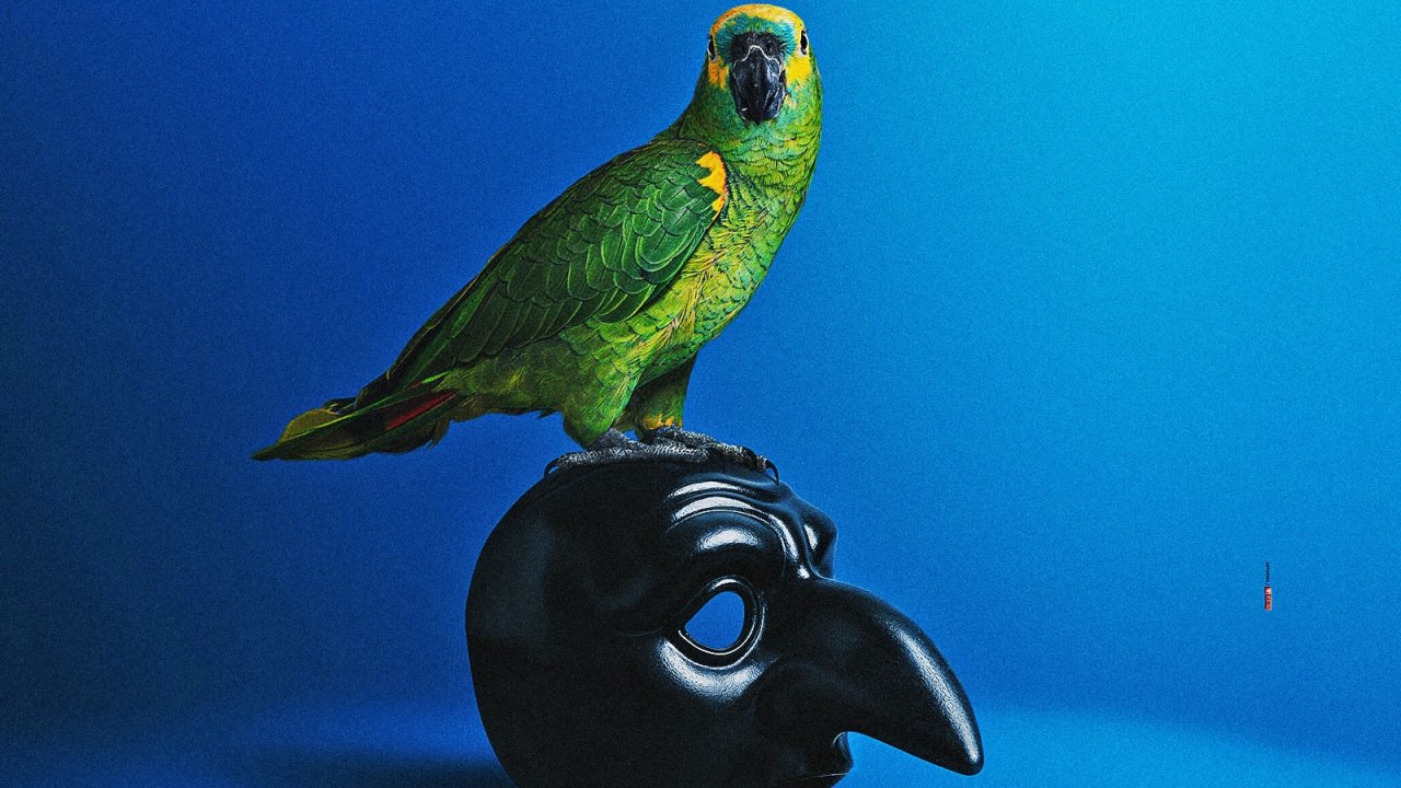 Il pappagallo protagonista dello show Portobello